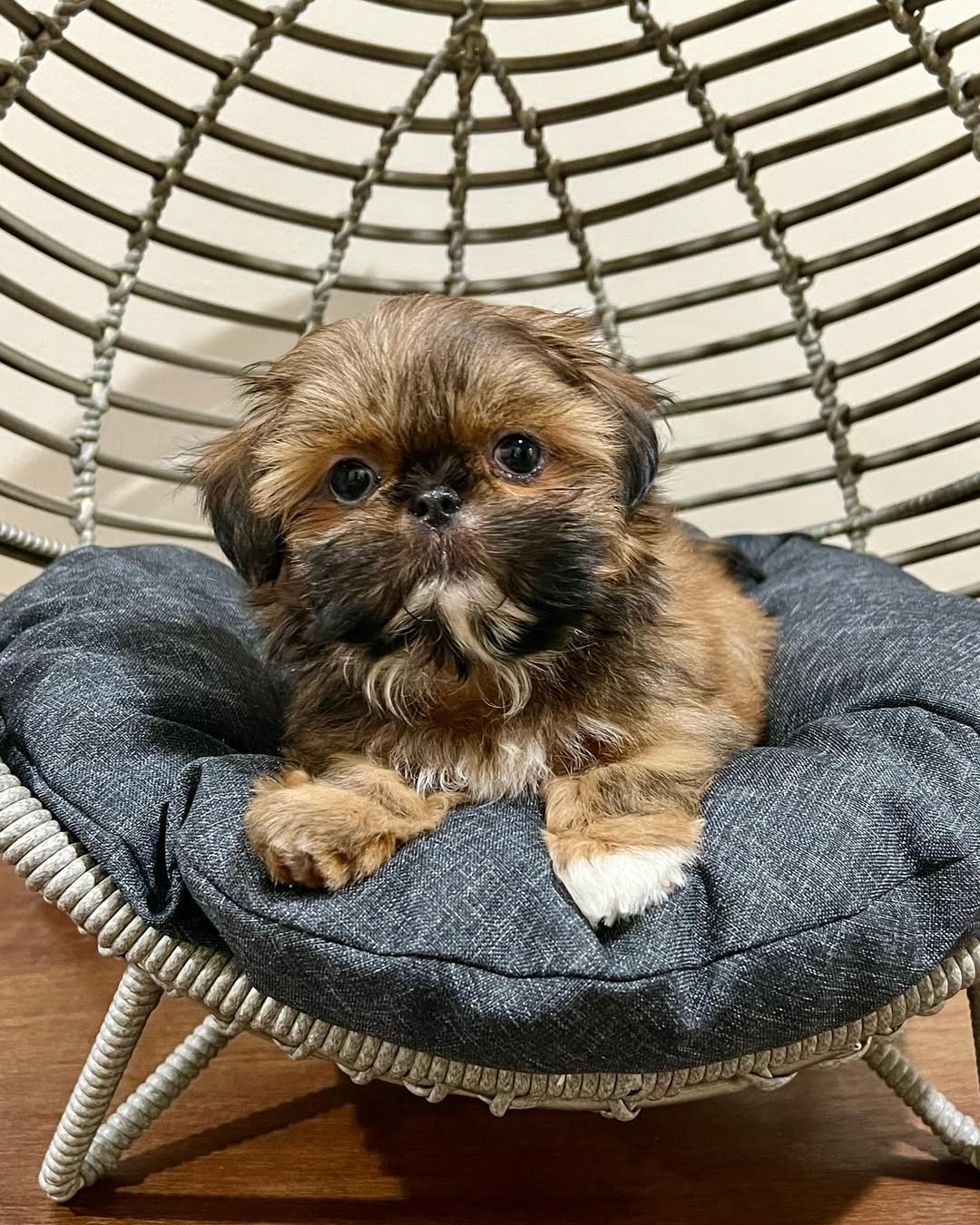 Milo